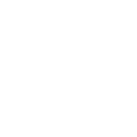 Smiley face icon